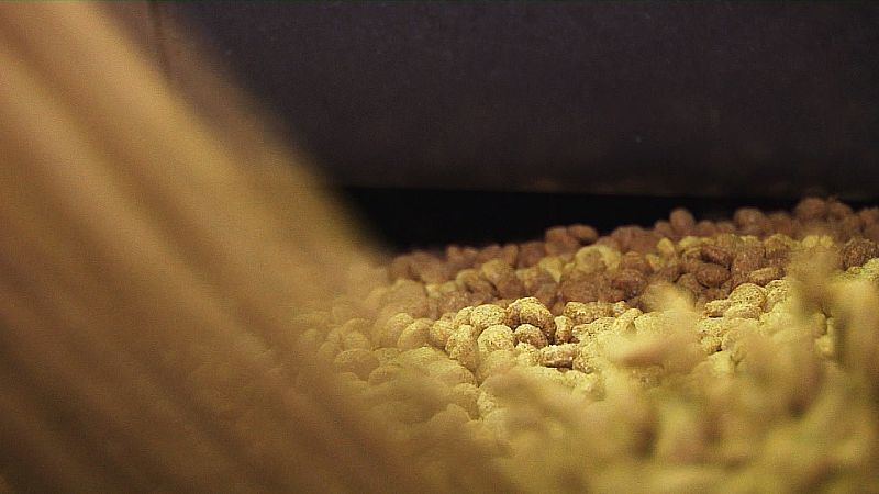 Fabricando croquetas para perro-6