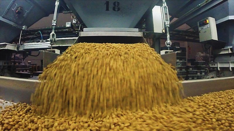 Fabricando croquetas para perro-8