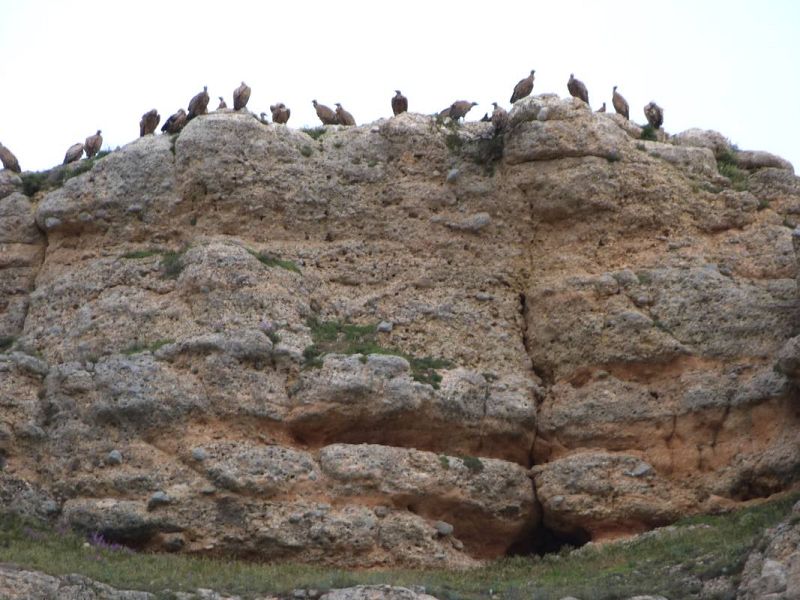 Los habitantes de los riscos