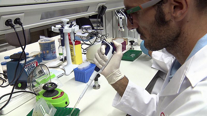 Los investigadores no saben cómo eliminar la xylella fastidiosa