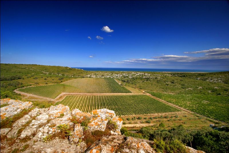 Vista panorámica del Mediterráneo.