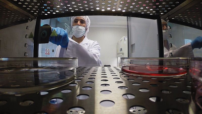 Así se encuentran los principios activos de la crema