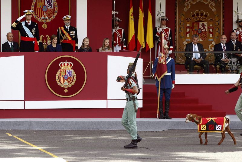 Durante el desfile, el Grupo de Artillería de la Legión ha marchado junto con una cabra 