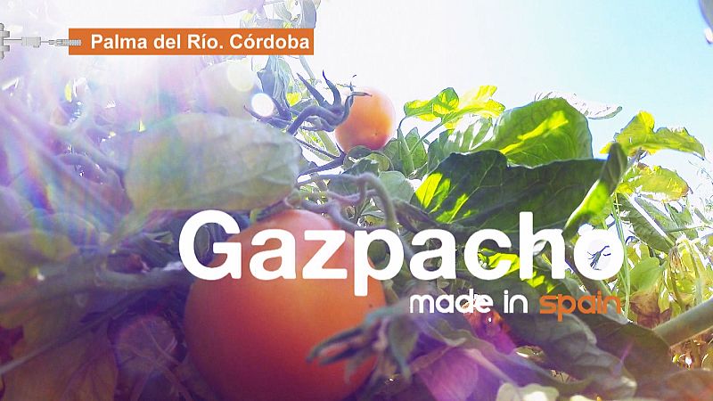 Preparamos gazpacho