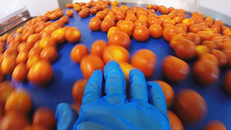 Los ingredientes son: tomates, pepinos, pimientos rojos y verdes