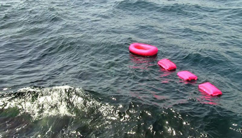 Pink Boat (Füsun Onur, 2014)