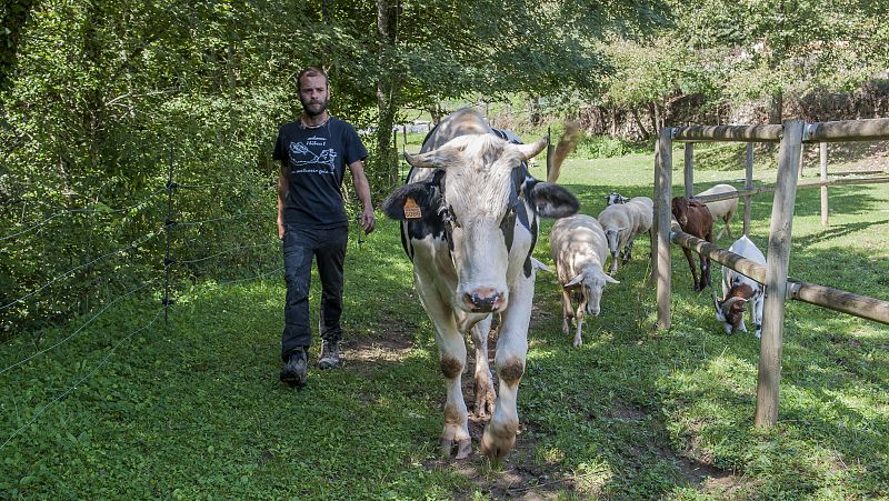 Ramón es voluntario y cada día se ocupa de pasear a toros, cabras y caballos