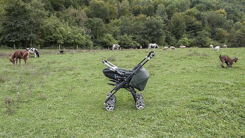 El refugio se ubica en los Pirineos catalanes, en Camprodon, Girona