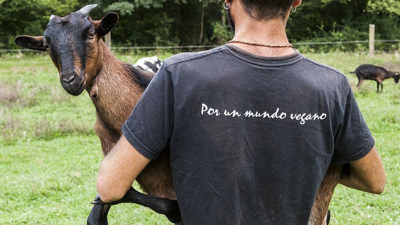 La cabra Celia padece una malformación en las patas delanteras y depende de los cuidadores para desplazarse