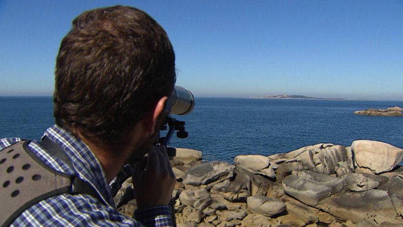 Cosme Damián avistando ejemplares de pardela balear en O Grove.
