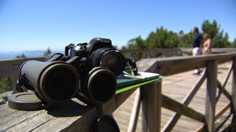 Balcón atlántico de avistamiento de aves marinas migratorias.