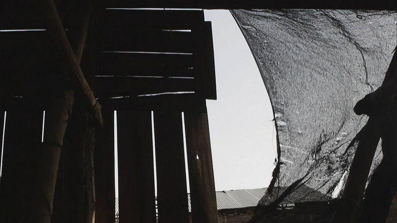  La cámara asiste al silencio de su estudio, en Barcelona, como si fuera un cuaderno de notas, un diario de trabajo que relata el proceso de esta artista