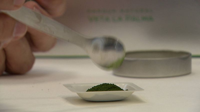 Polvo liofilizado de tetraselmis chuii, microalga marina de consumo humano.