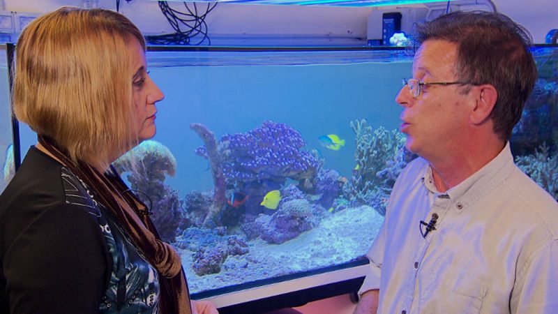 El fitoplancton marino como alimento en acuariología