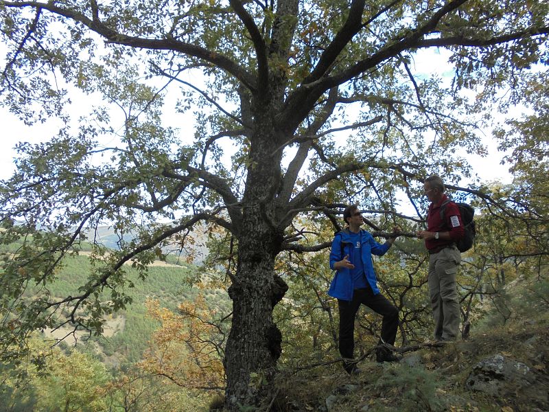 Con Antonio, en el robledal