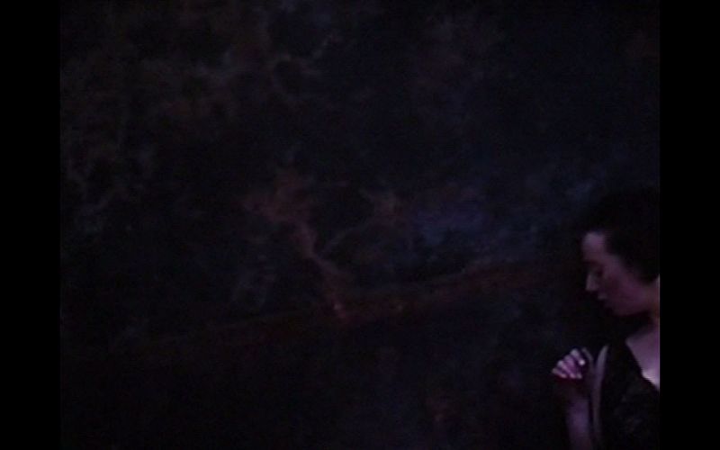 Águila Arizona (LLUIS ESCARTÍN y OLGA MESA, 1992)