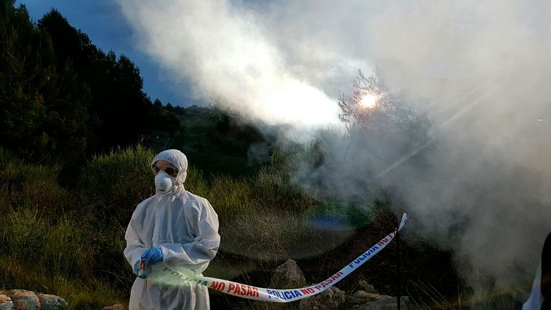 El programa ha contado con la colaboración de la policia española y de expertos forenses
