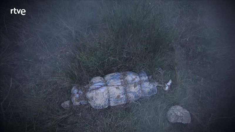 Vivos o muertos, siempre dejamos un rastro