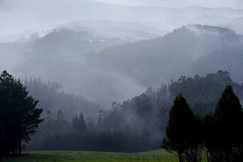 Humo y cenizas en el paisaje