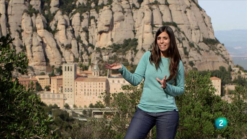 Montserrat, temple de bestioles