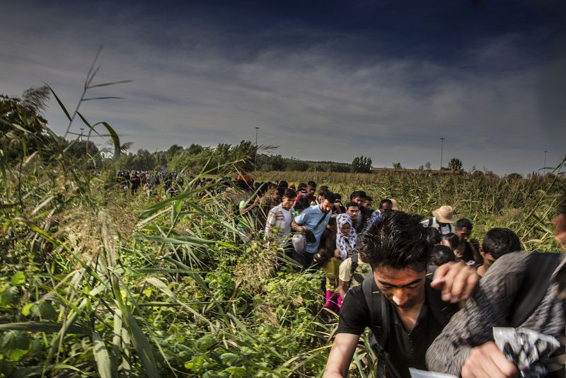 5.000 migrantes pasan diariamente por este centro en Tovarnik (Croacia) para ser transferidos a Hungría