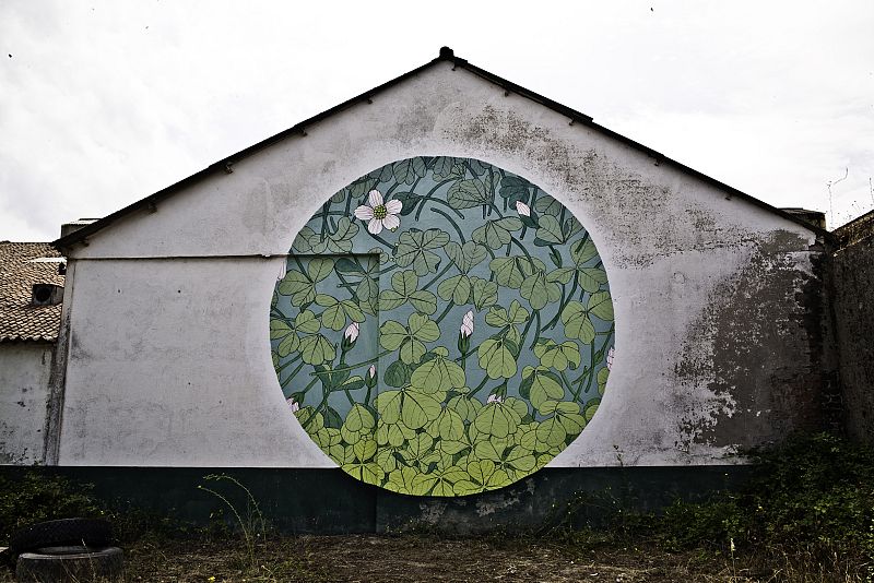 Reforestando en la Ribeira Sacra, de Doa Oa