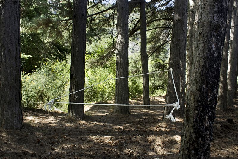 La dimensión del contacto. Del equilibrio entre el orden y el caos en la naturaleza