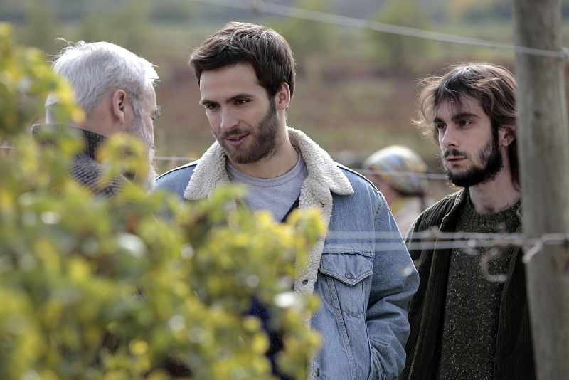 Carlos y Luis, en las viñas