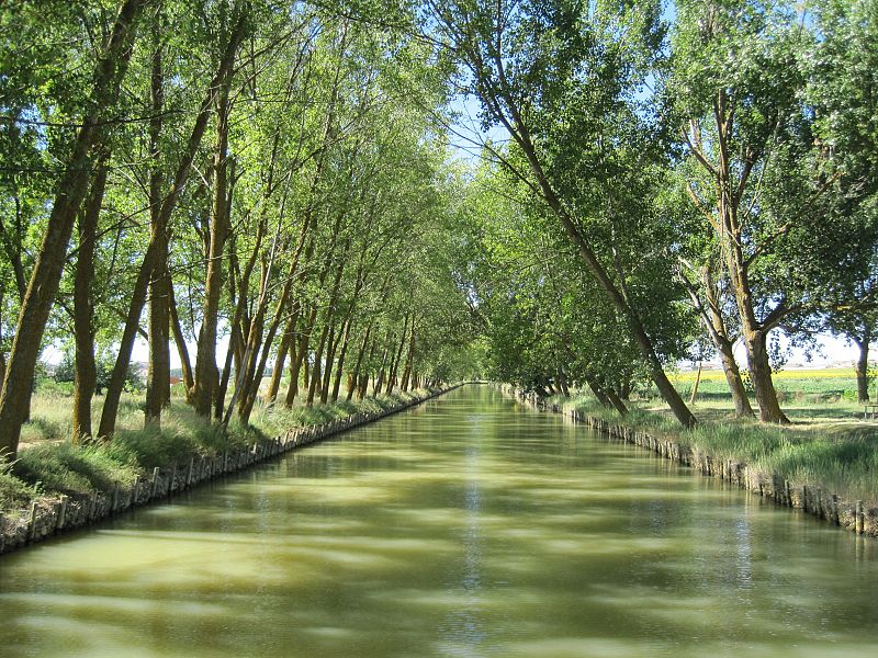 El Canal de Castilla en las proximidades de Medina de Rioseco.