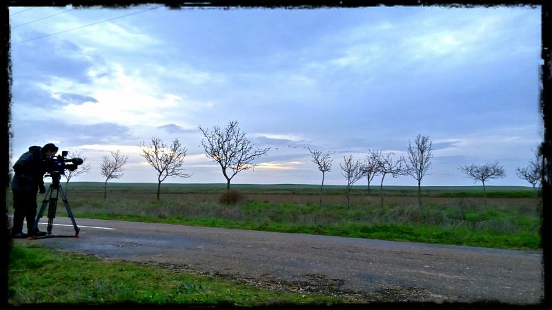 Apostamos las cámaras al amanecer para grabar el desplazamiento de aves en las lagunas de Villafáfila