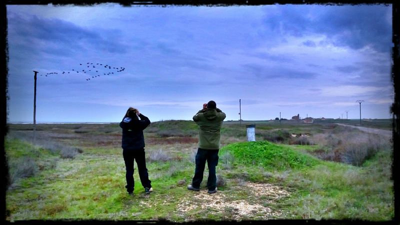 Los técnicos recuentan las aves con la vista, pero con gran precisión.