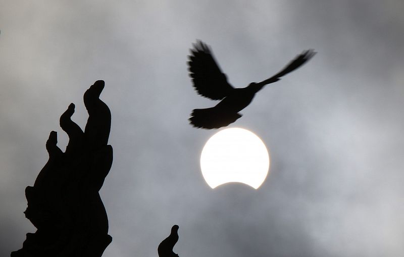 Vista de un pájaro bajo el eclipse de Sol en Phnom Penh (Camboya).