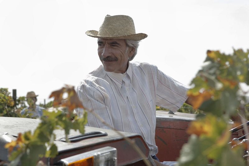 Cuéntame cómo pasó - Antonio, en la vendimia