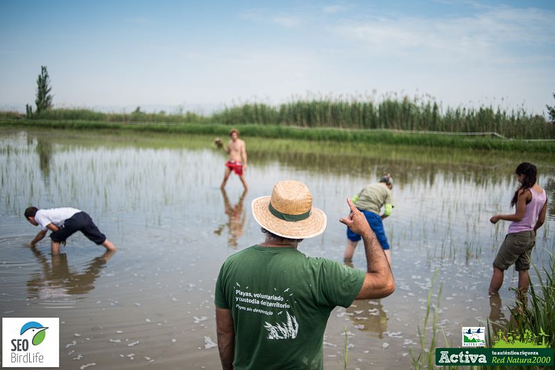 Voluntarios en Riet Vell