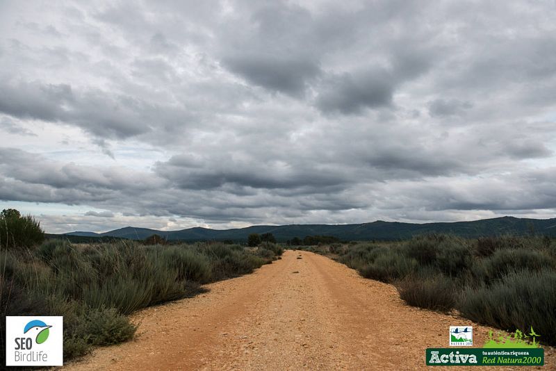 Las imágenes del cuarto capítulo de 'Red Natura 2000' | 1