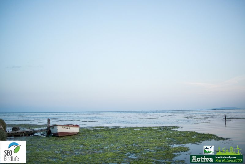 Una imagen muy pictórica del Delta del Ebro