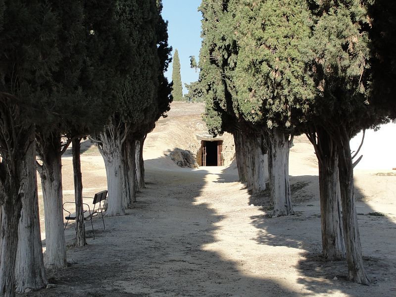 Los cipreses guian el camino hacia el tholos de El Romeral