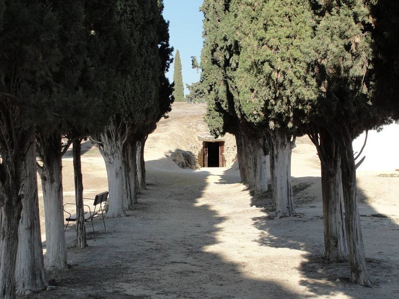 Los cipreses guian el camino hacia el tholos de El Romeral