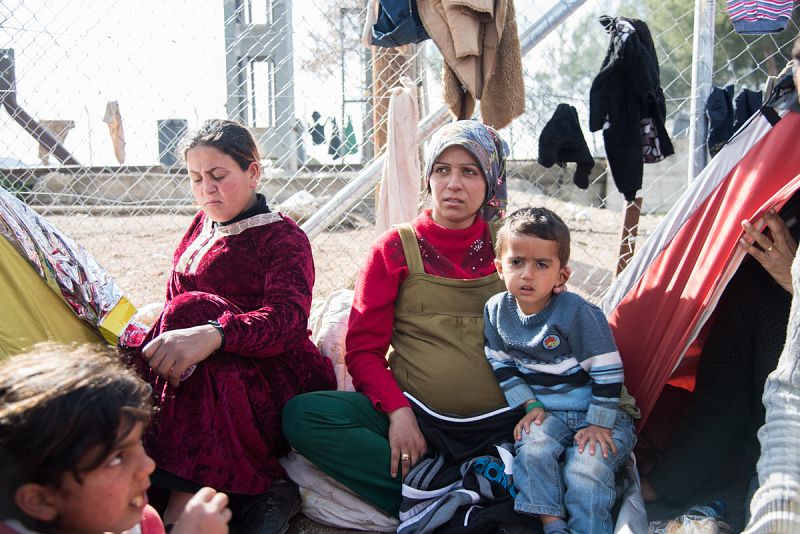 Embarazadas, ancianos, niños, nada es obstáculo frente a la huída desde un país en guerra