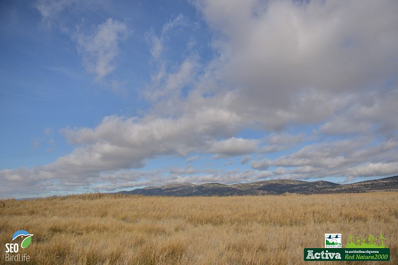 Aragón alberga la mayor laguna salina de Europa occidental: Gallocanta