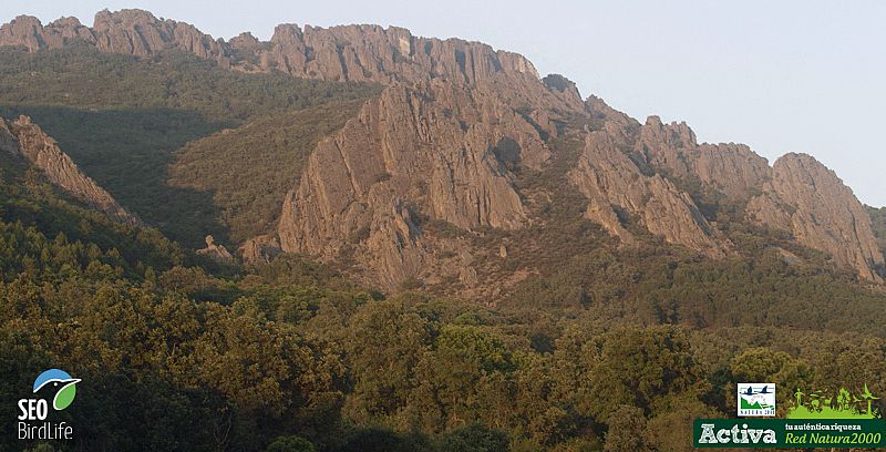 En la Sierra de Cabezas de Águila