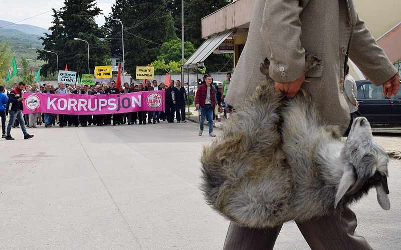 Día del Trabajo en Albania, contra la corrupción, cabra en mano