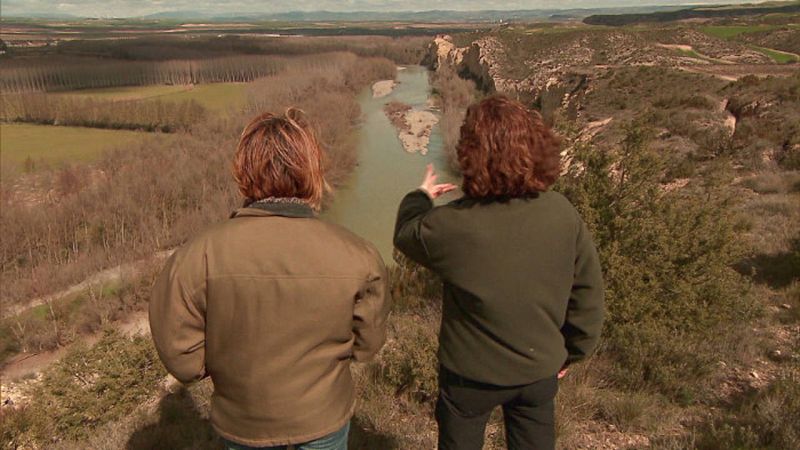 La rivera navarra del rLa rivera navarra del río Aragón tiene la mayor concentración europea de visón.