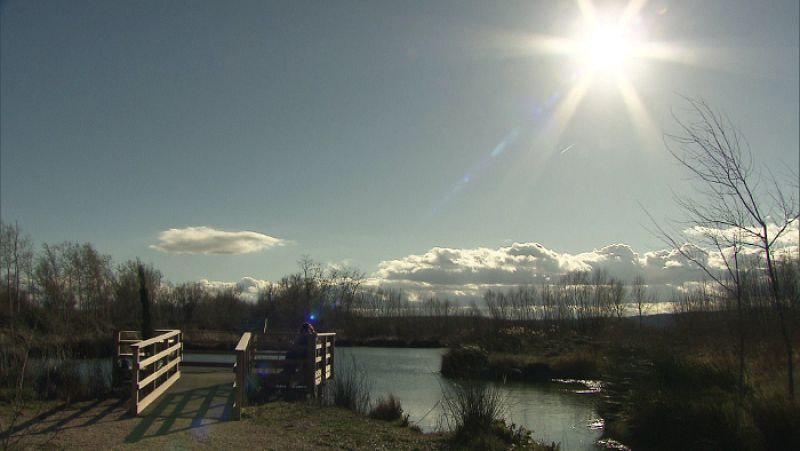 El proyecto preveía la creación de humedales para el filtrado de las aguas de retorno agrícolas en el entorno de Marcilla.