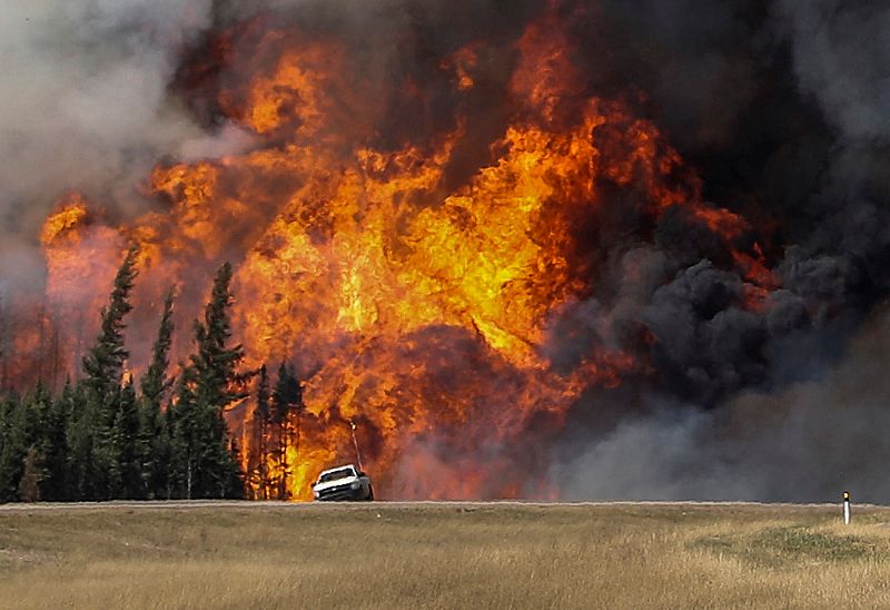 Grandes llamas tras un coche en una carretera cerca de Fort McMurray