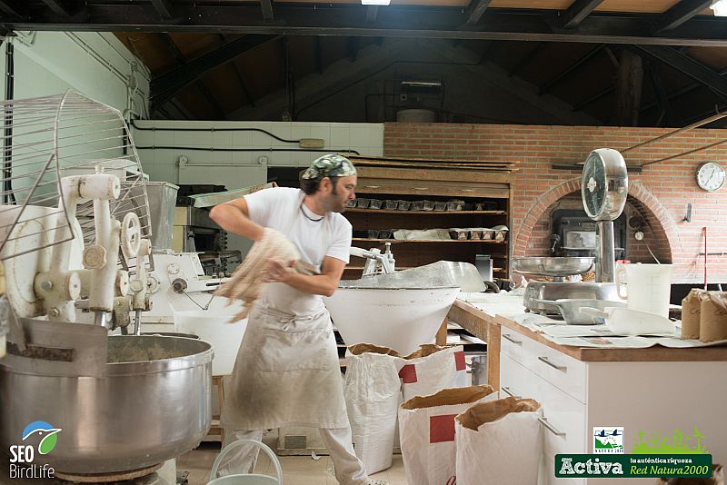 Jose Luis, en la panaderia en Redes, Asturias