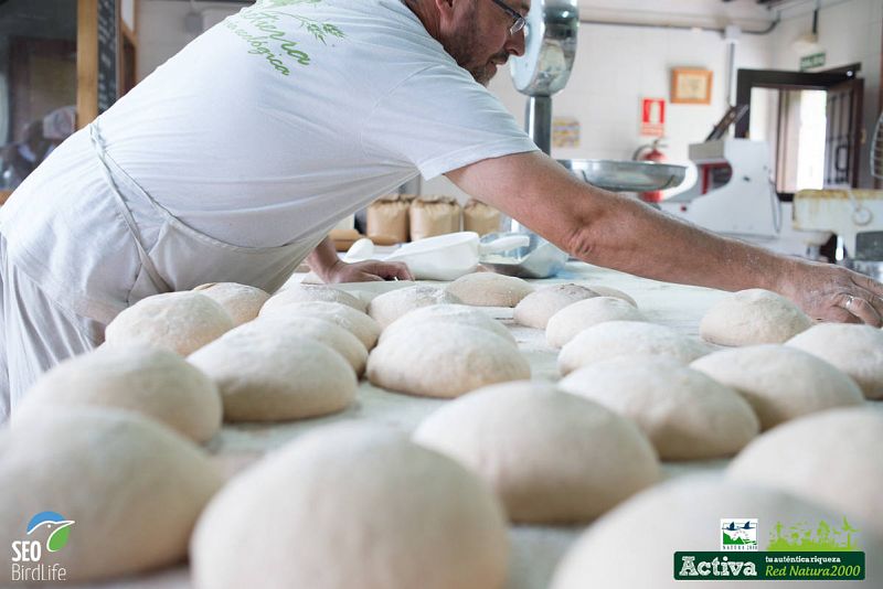  Panaderia ecologica en Redes, Asturias