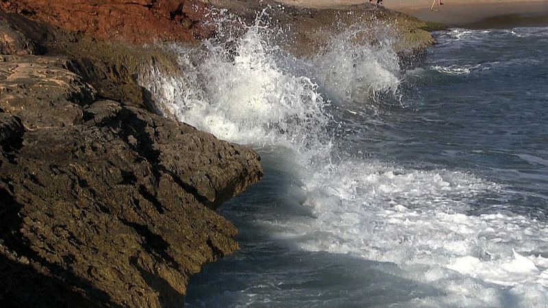 La acidificación afecta a la población de fitplancton, base de toda la cadena trófica marina