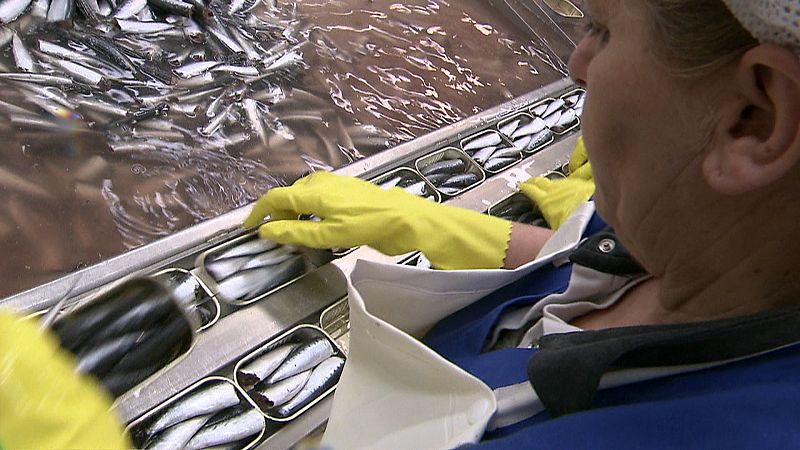 España es el segundo productor mundial de conservas de pescado y marisco