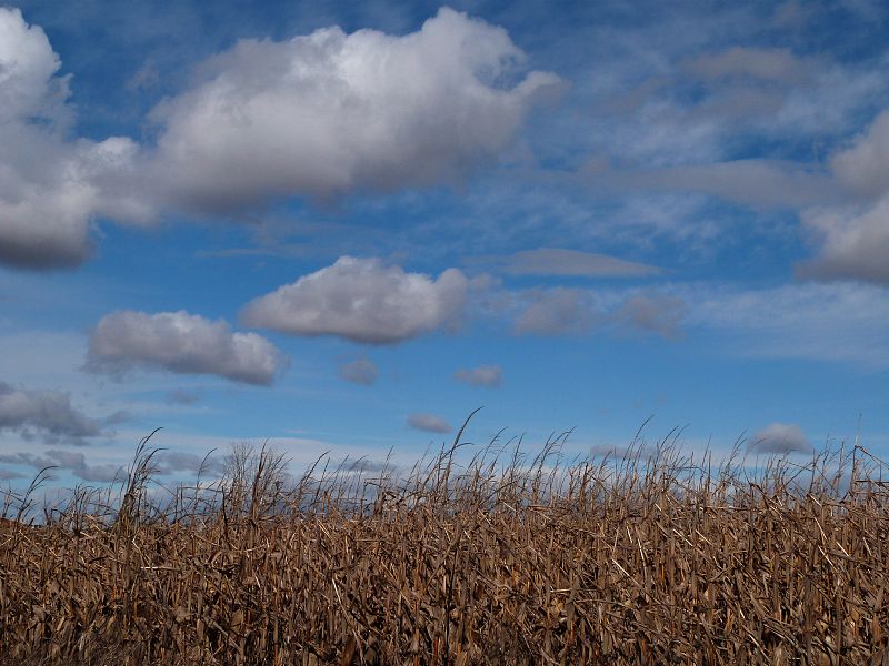 Nubes en el cielo leonés